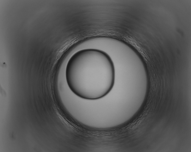 X0000091090683200708060959