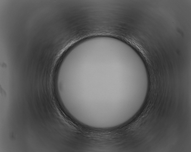 X0000091090684200708060959
