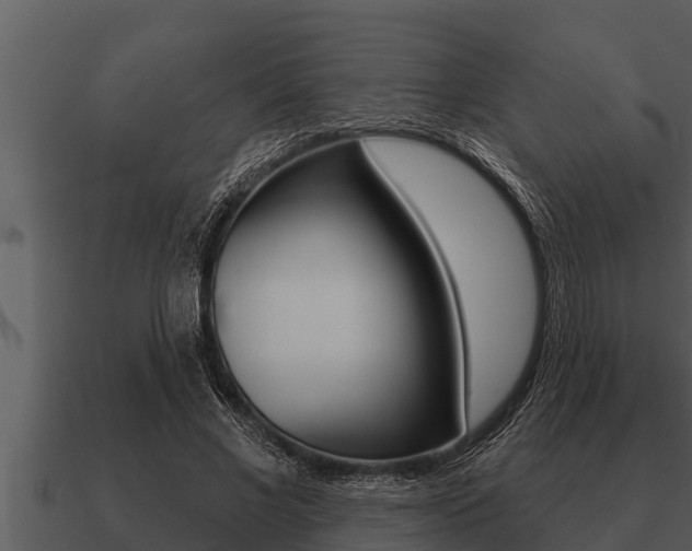X0000091090685200708060959