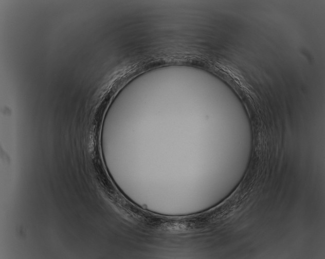 X0000091090687200708060959