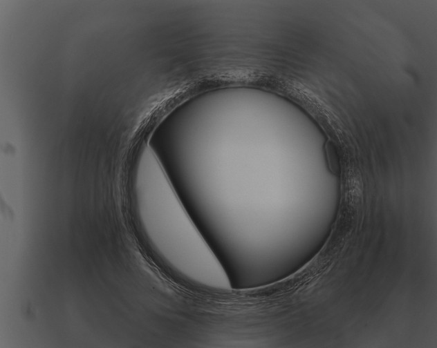 X0000091090688200708060959