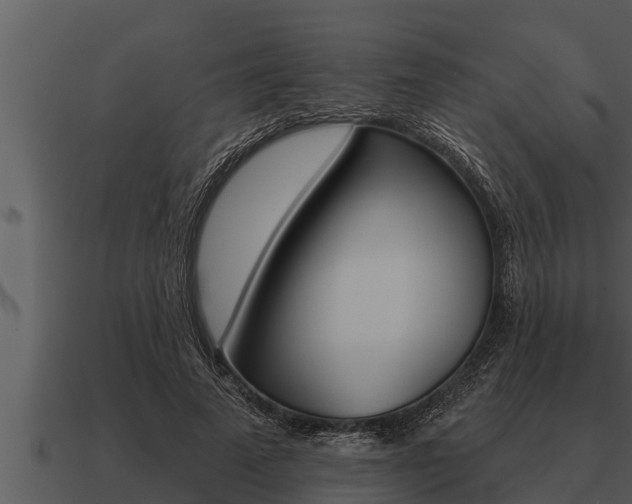 X0000091090689200708060959