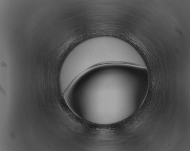 X0000091090693200708060959