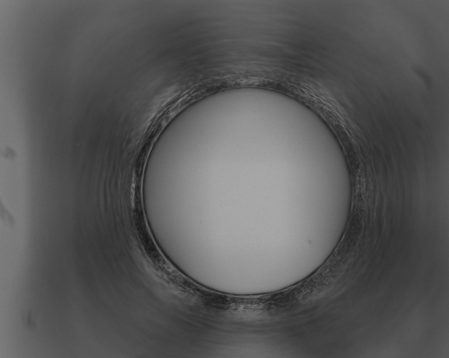 X0000091090694200708060959