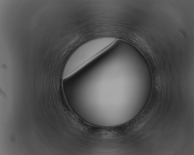 X0000091090697200708060959