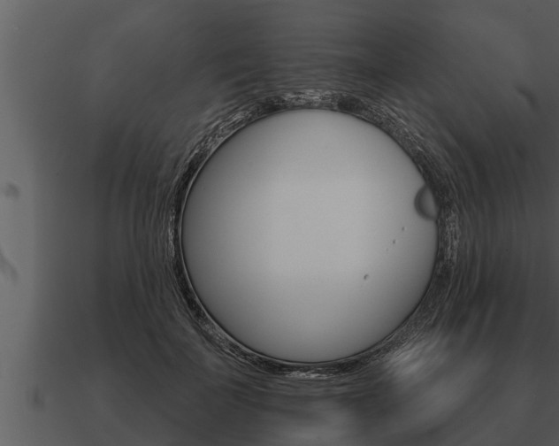 X0000091090699200708060959