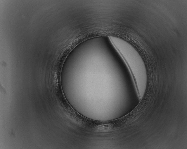 X0000091090700200708060959