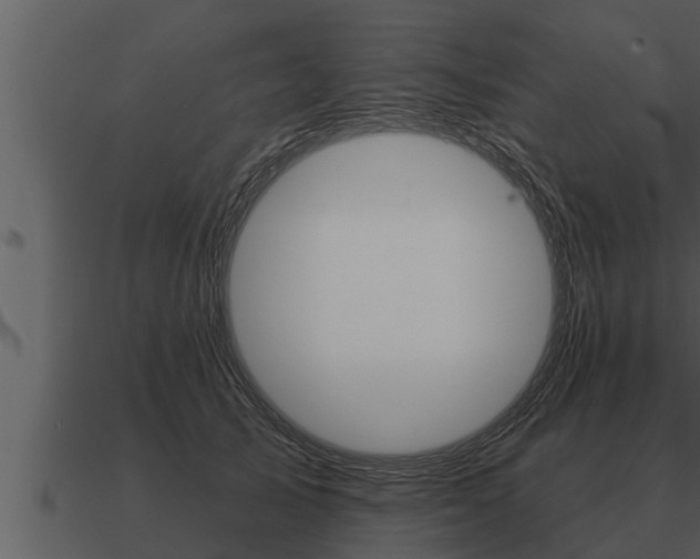 X0000091090705200708060959