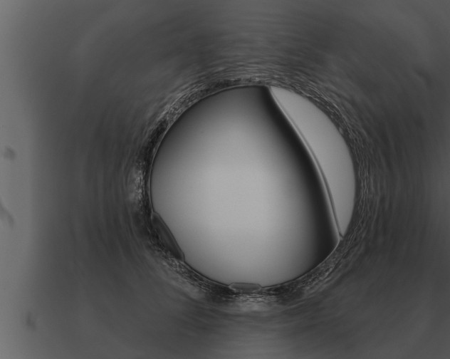 X0000091090708200708060959