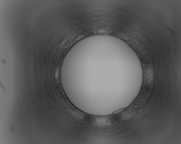 X0000091090709200708060959