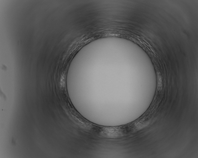 X0000091090713200708060959