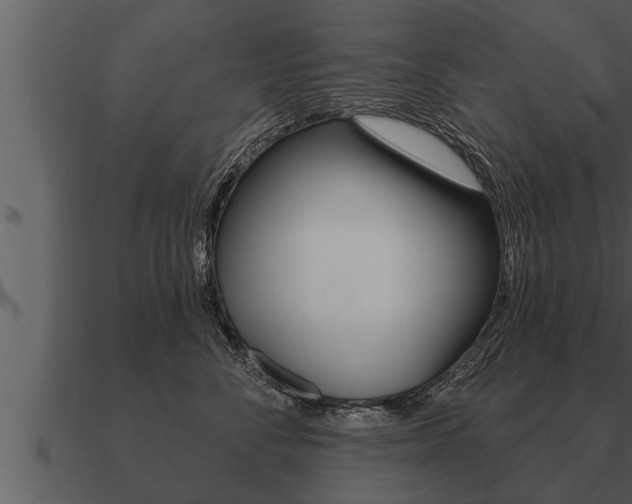 X0000091090716200708060959