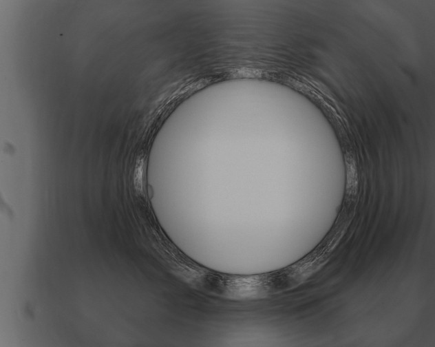 X0000091090717200708060959