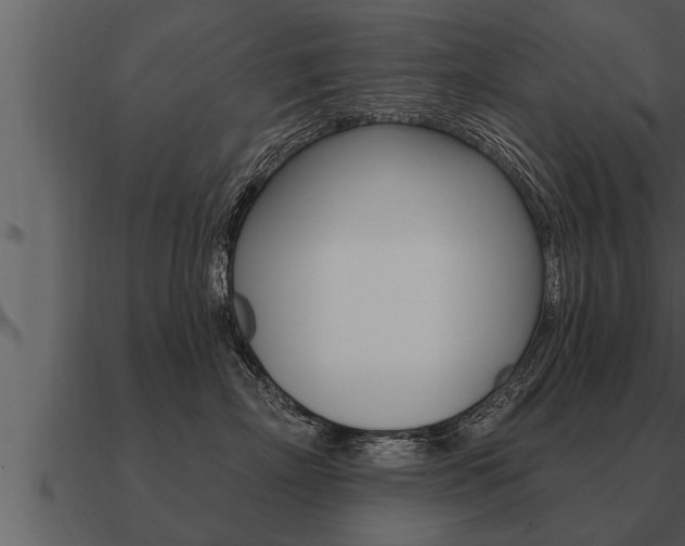 X0000091090718200708060959