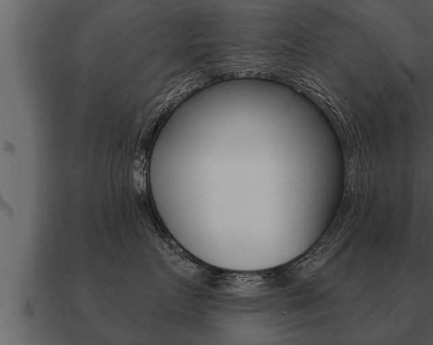 X0000091090719200708060959
