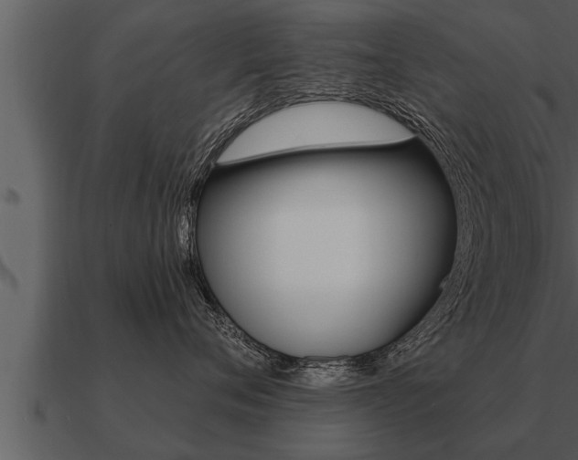 X0000091090720200708060959