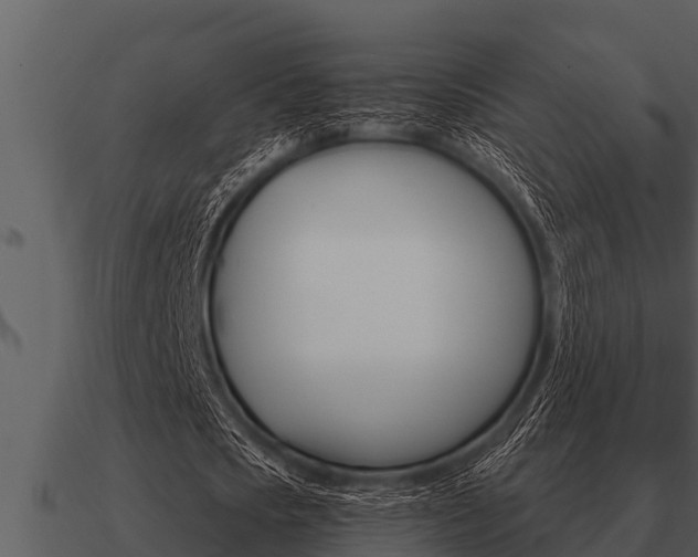 X0000091090721200708060958
