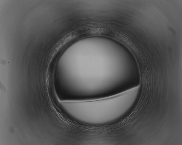 X0000091090722200708060958