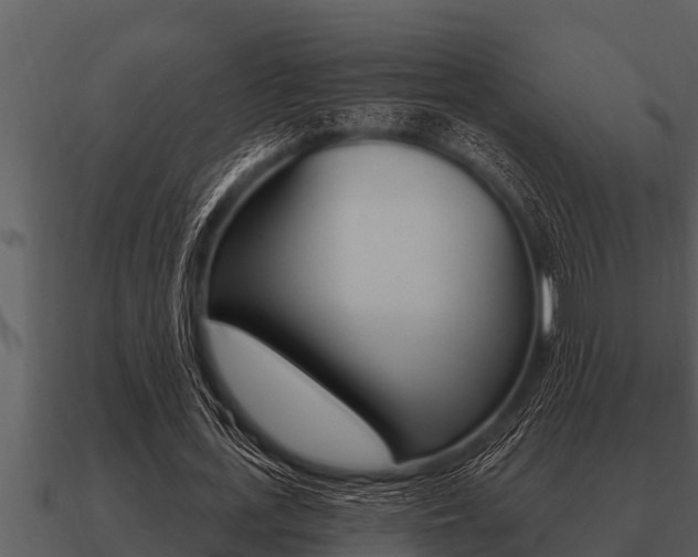 X0000091090723200708060958