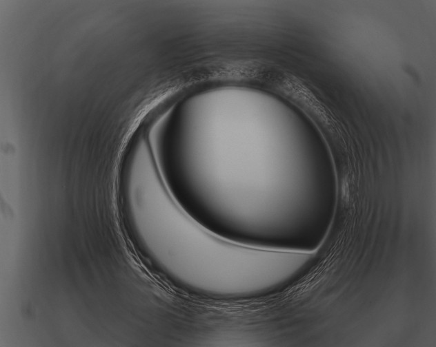 X0000091090724200708060958