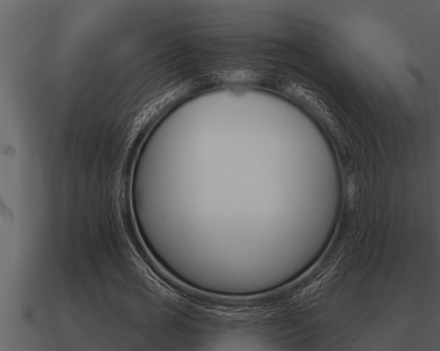 X0000091090725200708060958