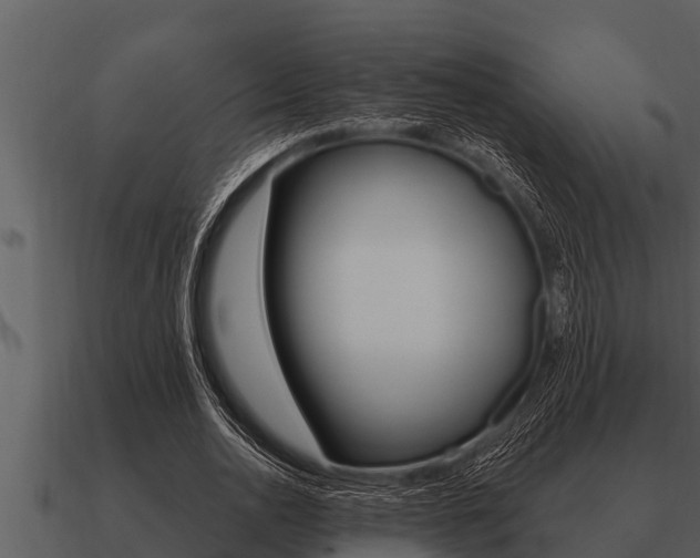 X0000091090726200708060958