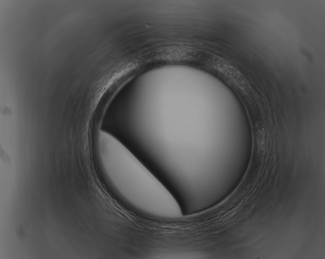 X0000091090727200708060958