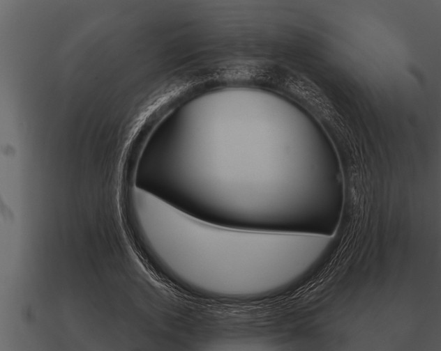 X0000091090728200708060958