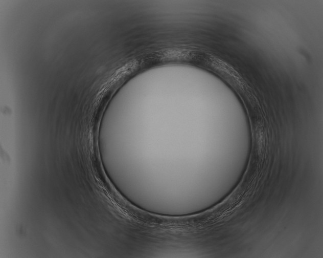 X0000091090729200708060958
