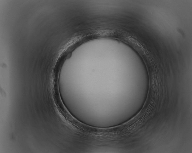 X0000091090730200708060958