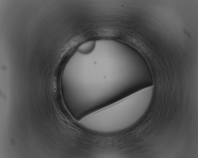 X0000091090731200708060958