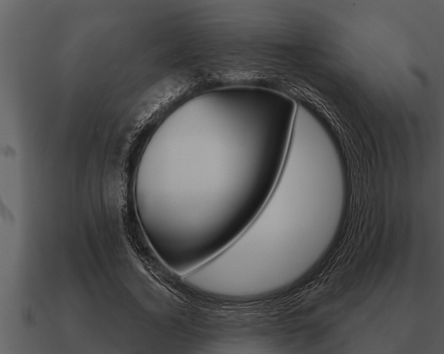 X0000091090732200708060958