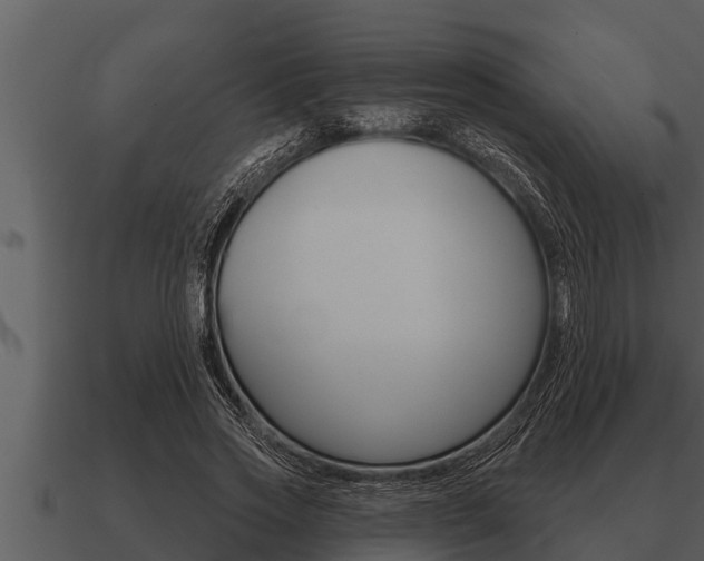 X0000091090733200708060958