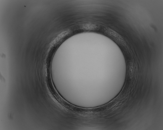 X0000091090734200708060958