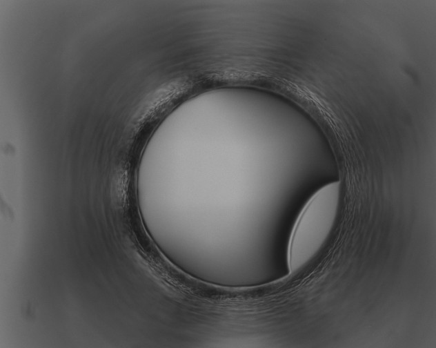 X0000091090735200708060958