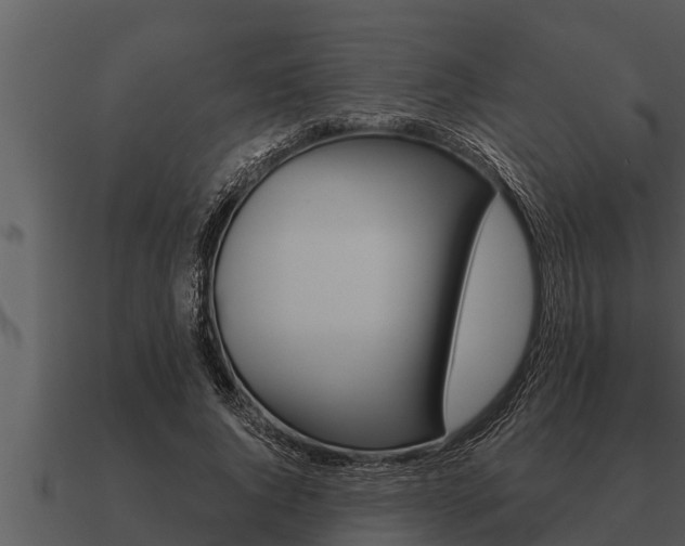 X0000091090736200708060958