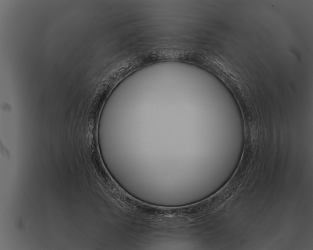 X0000091090737200708060958