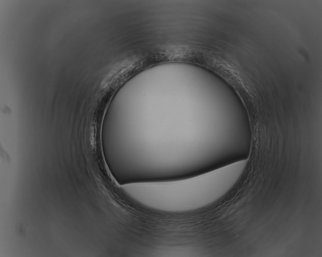X0000091090740200708060958