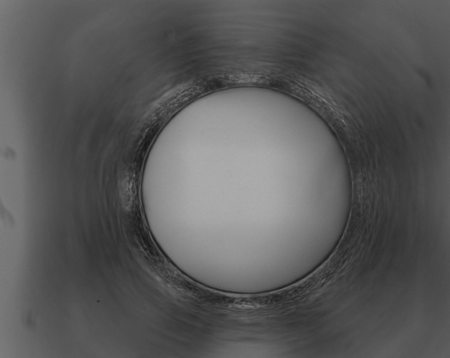 X0000091090741200708060958