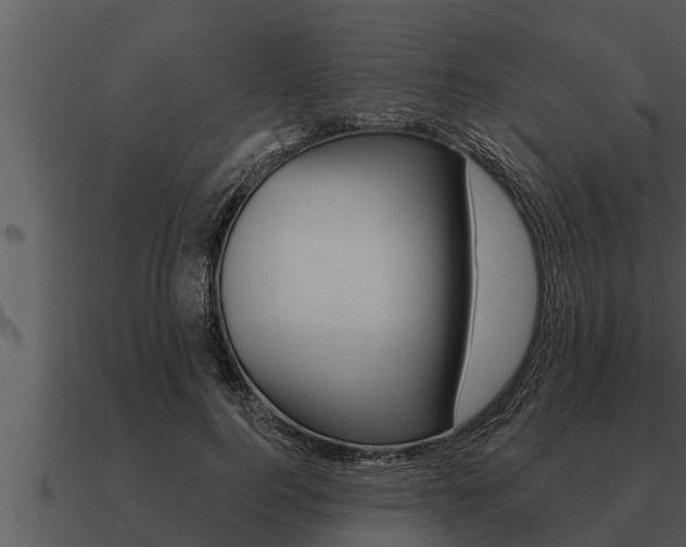 X0000091090744200708060958