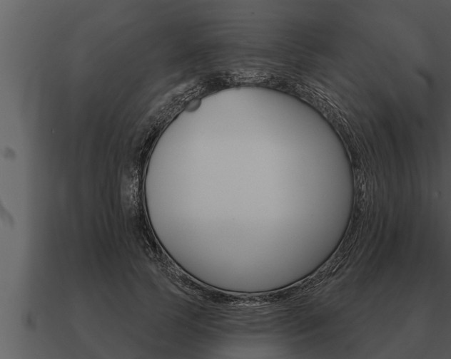 X0000091090745200708060958