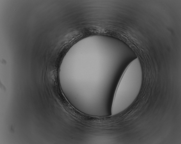 X0000091090747200708060958