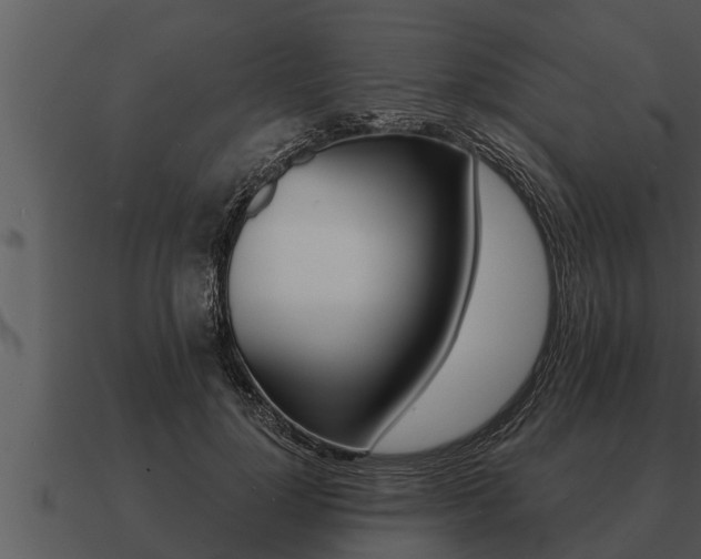 X0000091090748200708060958