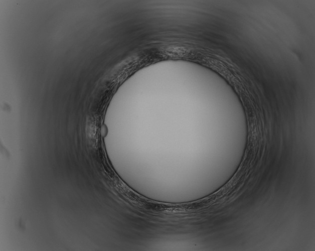 X0000091090749200708060958
