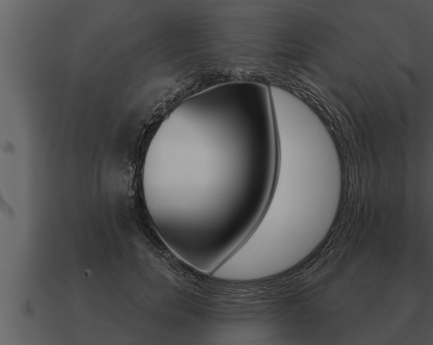 X0000091090750200708060958