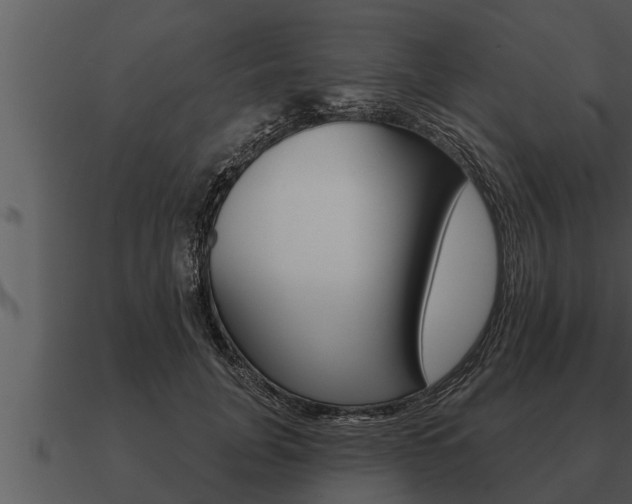 X0000091090751200708060958
