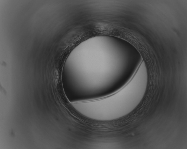 X0000091090752200708060958