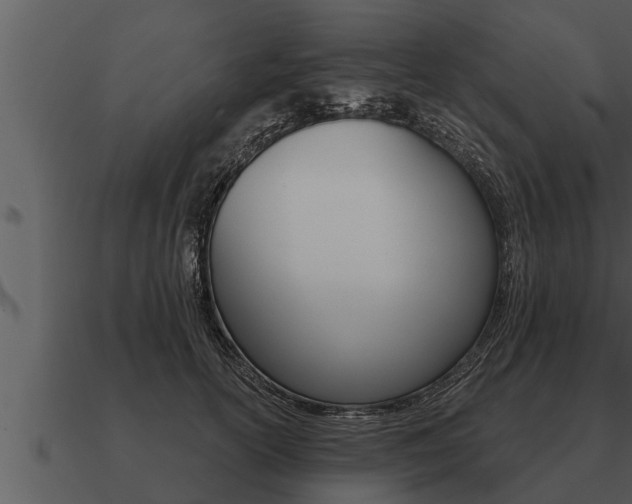 X0000091090754200708060958