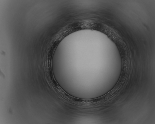 X0000091090755200708060959