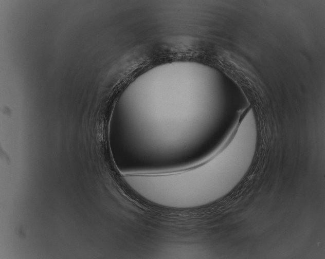 X0000091090756200708060959